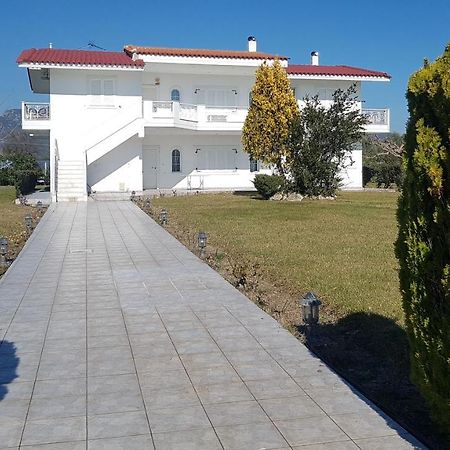 Silver Villa Raches Maisonette & Green Kouvéla 外观 照片